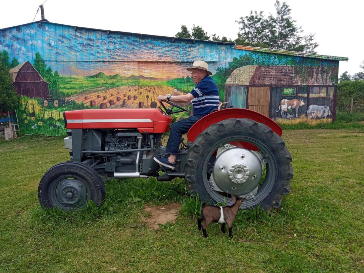 La Petite Ferme De Pouillon - Parc Animalier - Aire De Loisirs Bed & Breakfast ภายนอก รูปภาพ
