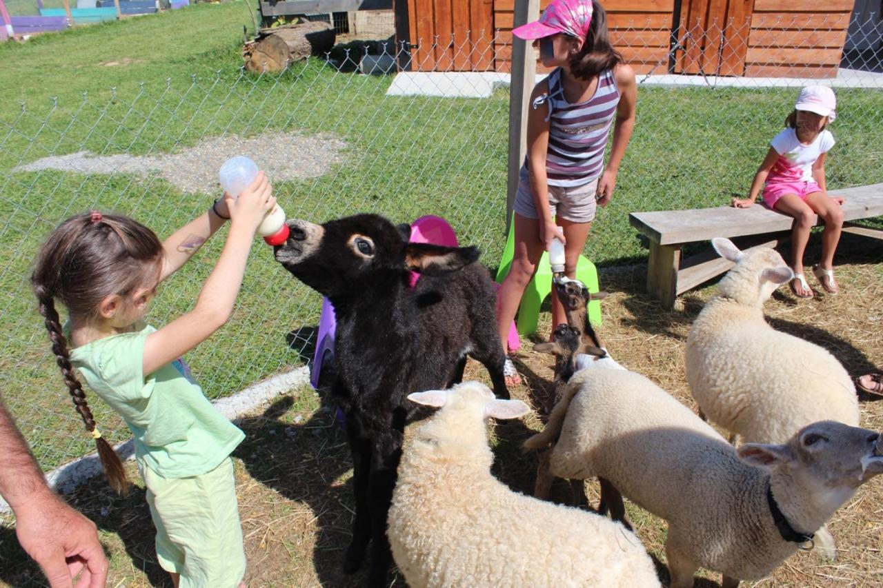 La Petite Ferme De Pouillon - Parc Animalier - Aire De Loisirs Bed & Breakfast ภายนอก รูปภาพ