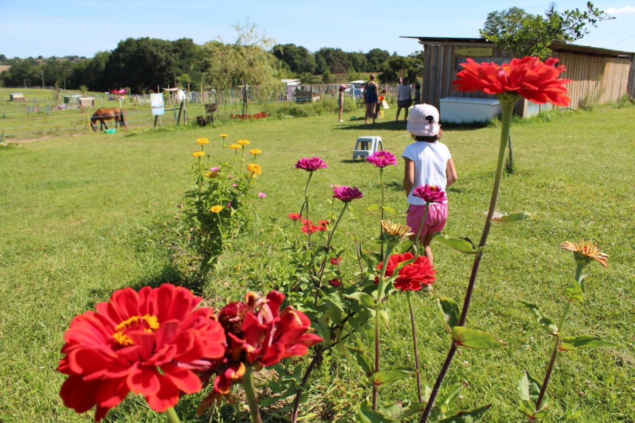 La Petite Ferme De Pouillon - Parc Animalier - Aire De Loisirs Bed & Breakfast ภายนอก รูปภาพ