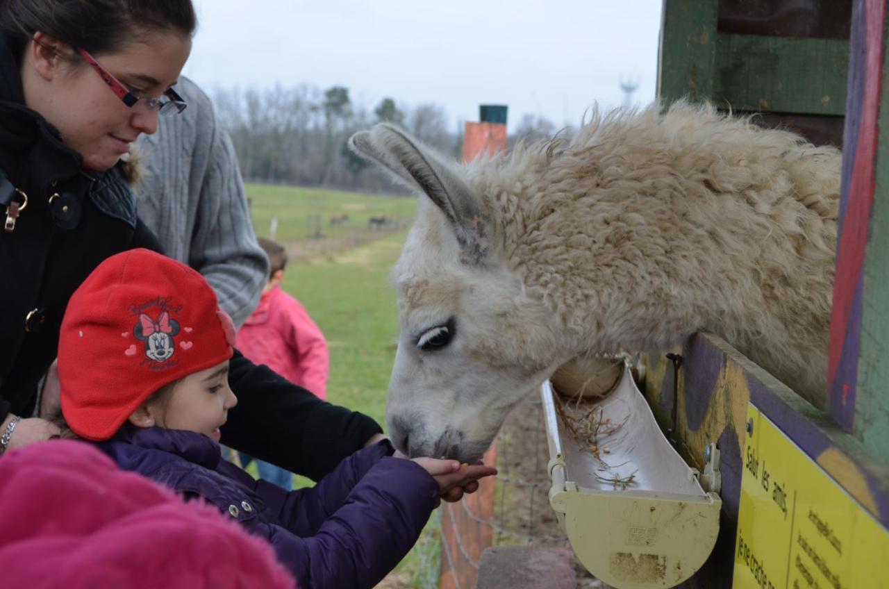 La Petite Ferme De Pouillon - Parc Animalier - Aire De Loisirs Bed & Breakfast ภายนอก รูปภาพ