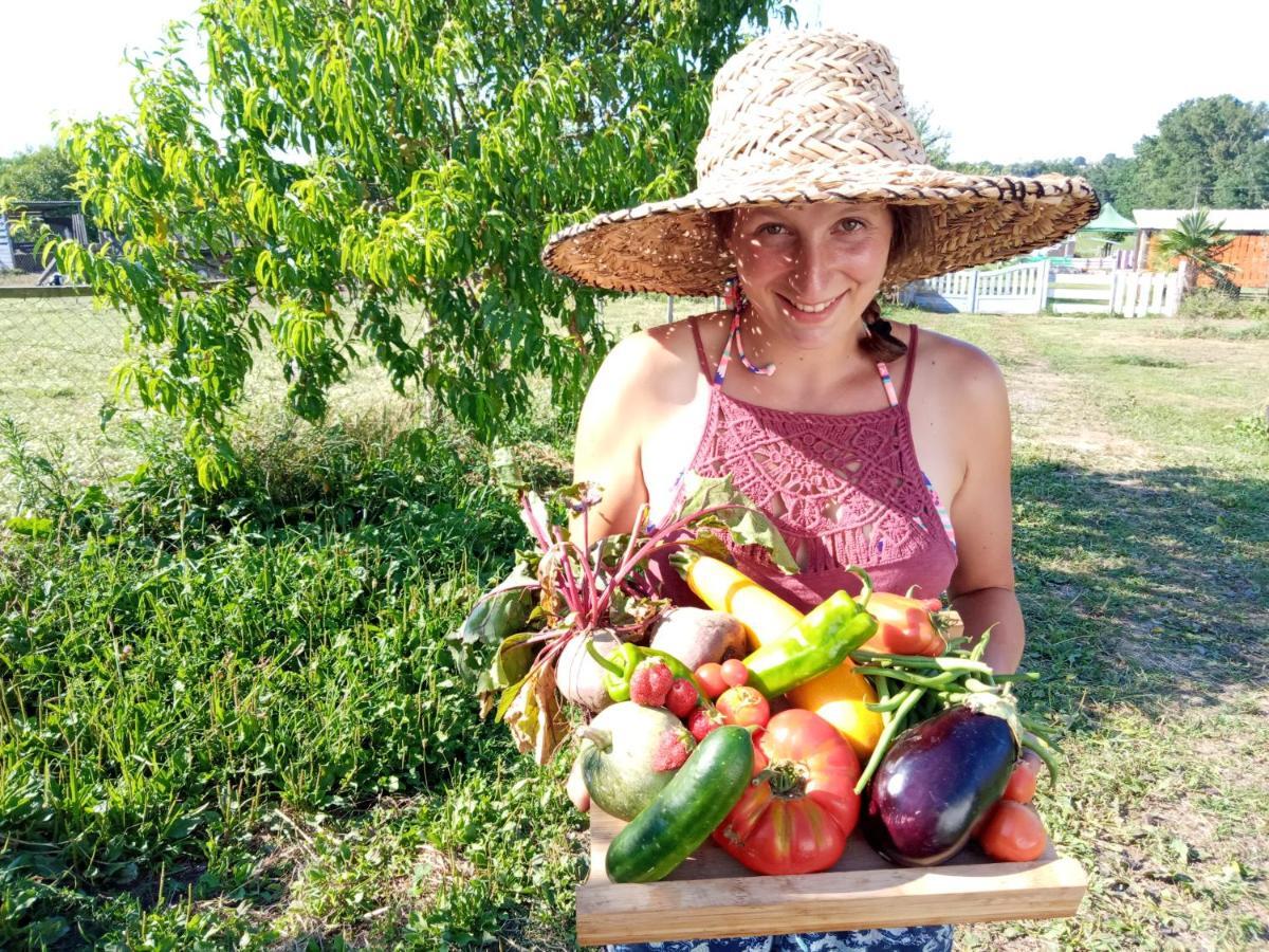 La Petite Ferme De Pouillon - Parc Animalier - Aire De Loisirs Bed & Breakfast ภายนอก รูปภาพ