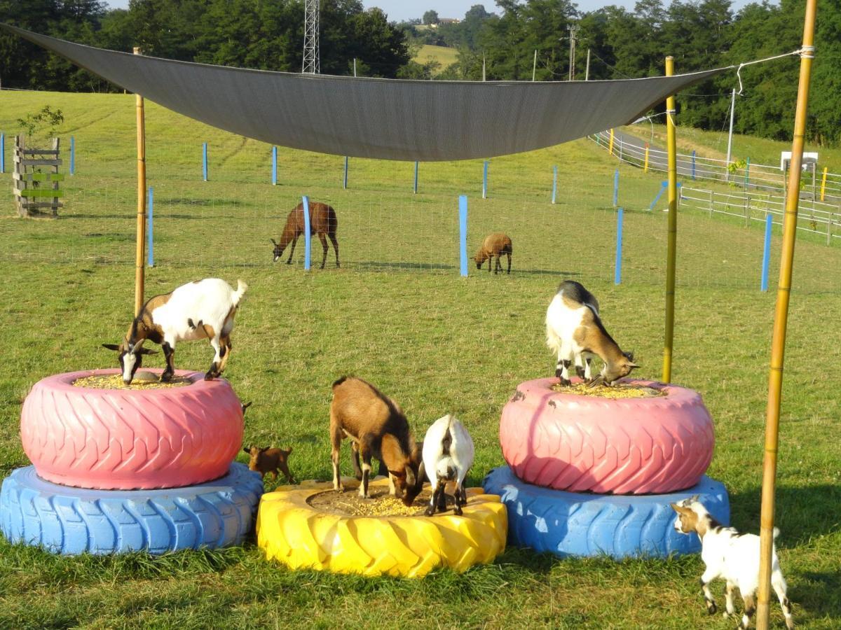 La Petite Ferme De Pouillon - Parc Animalier - Aire De Loisirs Bed & Breakfast ภายนอก รูปภาพ